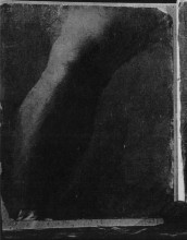 Копия картины "study of a leg" художника "икинс томас"