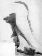 Репродукция картины "legs of a seated model" художника "икинс томас"