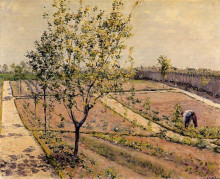 Репродукция картины "kitchen garden, petit gennevilliers" художника "кайботт гюстав"