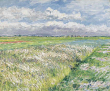 Репродукция картины "fields, plain of gennevilliers" художника "кайботт гюстав"