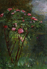 Репродукция картины "rose bush in flower" художника "кайботт гюстав"