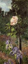 Репродукция картины "rose with purple iris, garden at petit gennevilliers" художника "кайботт гюстав"