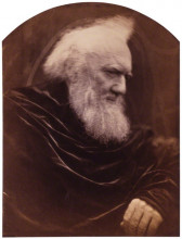 Картина "henry thoby prinsep" художника "камерон джулия маргарет"