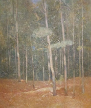 Картина "landscape" художника "карлсен эмиль"