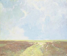 Репродукция картины "marsh landscape" художника "карлсен эмиль"