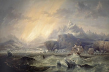 Репродукция картины "hms erebus and terror in the antarctic" художника "кармайкл джон уилсон"