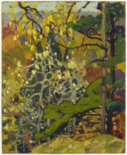 Копия картины "autumn splendor" художника "кармайкл франклин"