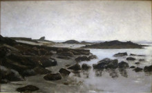 Картина "seashore at audresselles" художника "каролюс-дюран"