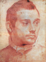 Копия картины "portrait of a man" художника "карраччи аннибале"