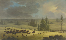 Копия картины "the buffalo pound" художника "кейн пол"