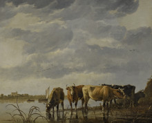 Картина "cattle watering by an estuary" художника "кёйп альберт"