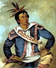 Копия картины "h&#225;-tchoo-t&#250;c-knee, snapping turtle, a half-breed" художника "кетлин джордж"