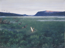 Репродукция картины "the 12 wild ducks 12 villender" художника "киттельсен теодор"