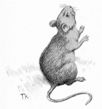 Репродукция картины "mouse" художника "киттельсен теодор"