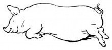 Репродукция картины "sleeping pig" художника "киттельсен теодор"