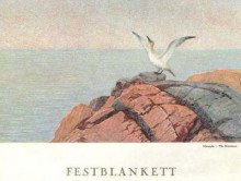 Репродукция картины "northern gannet" художника "киттельсен теодор"