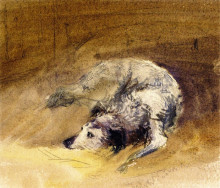 Репродукция картины "study of a dog" художника "кокс дэвид"