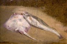 Картина "study of fish, skate and cod" художника "кокс дэвид"