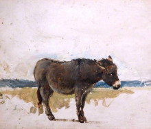 Картина "study of a donkey" художника "кокс дэвид"