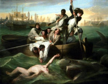 Репродукция картины "уотсон и акула" художника "копли джон синглтон"