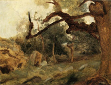 Картина "кривое дерево, фонтенбло" художника "коро камиль"