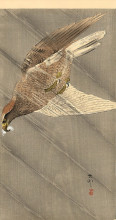 Картина "eagle in descent" художника "косон охара"