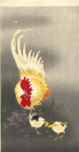 Репродукция картины "rooster and chicks" художника "косон охара"