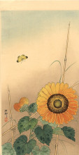 Картина "small butterfly and sunflower" художника "косон охара"