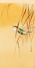 Картина "songbird in reeds" художника "косон охара"