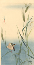 Копия картины "songbird on barley stalk" художника "косон охара"