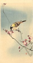 Копия картины "songbird on plum blossom" художника "косон охара"