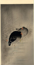 Копия картины "two gallinules" художника "косон охара"