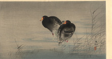 Копия картины "two gallinules in shallow water" художника "косон охара"