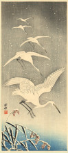 Картина "white birds in snow" художника "косон охара"