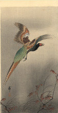 Картина "pheasant in flight" художника "косон охара"