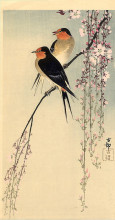 Картина "swallows with cherry blossom" художника "косон охара"