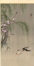 Картина "two barn swallows in flight, willow branch and flowering cherry above" художника "косон охара"