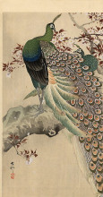 Репродукция картины "two green peacocks on the bough of a flowering tree" художника "косон охара"