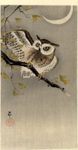 Репродукция картины "owl on ginkgo branch (scops owl under crescent moon)" художника "косон охара"