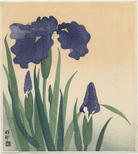 Копия картины "flowering iris" художника "косон охара"