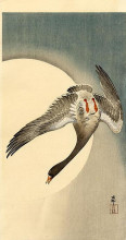 Картина "flying white-fronted goose seen from underneath in front of the moon" художника "косон охара"