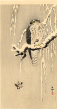 Картина "goshawk on snowy branch" художника "косон охара"