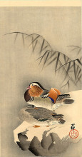 Репродукция картины "mandarin ducks in snow" художника "косон охара"