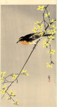 Картина "orange-breasted bird" художника "косон охара"