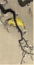 Картина "oriole" художника "косон охара"