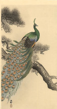 Картина "peacock" художника "косон охара"