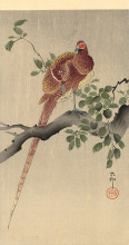Картина "pheasant on branch" художника "косон охара"