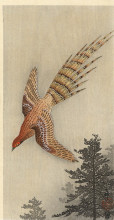 Копия картины "quail over the forest" художника "косон охара"