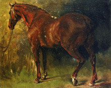 Картина "английская лошадь месье дюваля" художника "курбе гюстав"