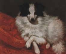 Картина "собака на подушке" художника "курбе гюстав"